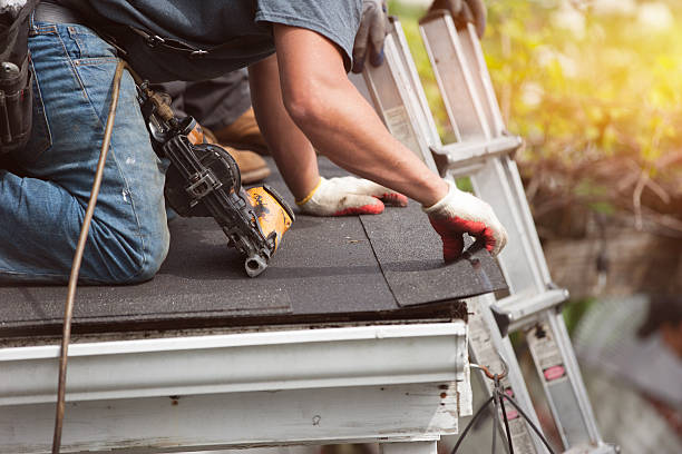 Best Roof Maintenance Services  in Pueblo West, CO