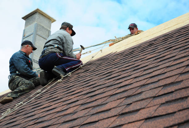 Roof Gutter Cleaning in Pueblo West, CO